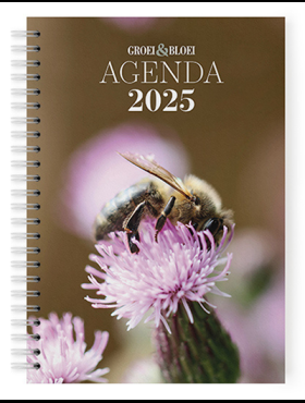 Agenda